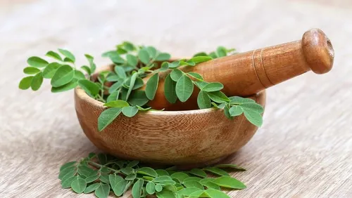 Keajaiban Daun Kelor: Superfood Lokal Kaya Antioksidan